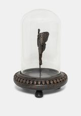 Luna Moth In Jar
