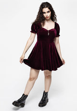 Veniri Corset Mini Dress - Wine