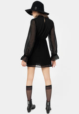 Spirit Sheer Pintuck Ruffle Mini Dress