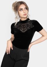 Cameo Floral Flocked Mesh Velour High Neck Top