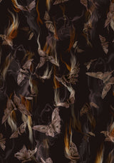 Ember Moth Cinch Waist Chiffon Shirt