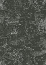 Kosmara Map Print Mesh Midaxi Dress
