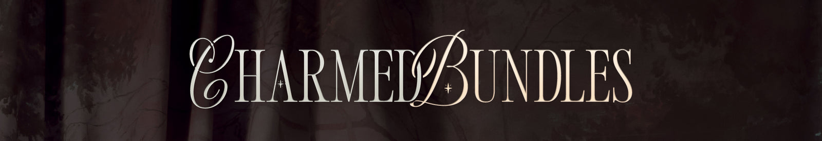 Bundles Banner Image