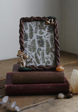 Mortierella Mushroom Photo Frame