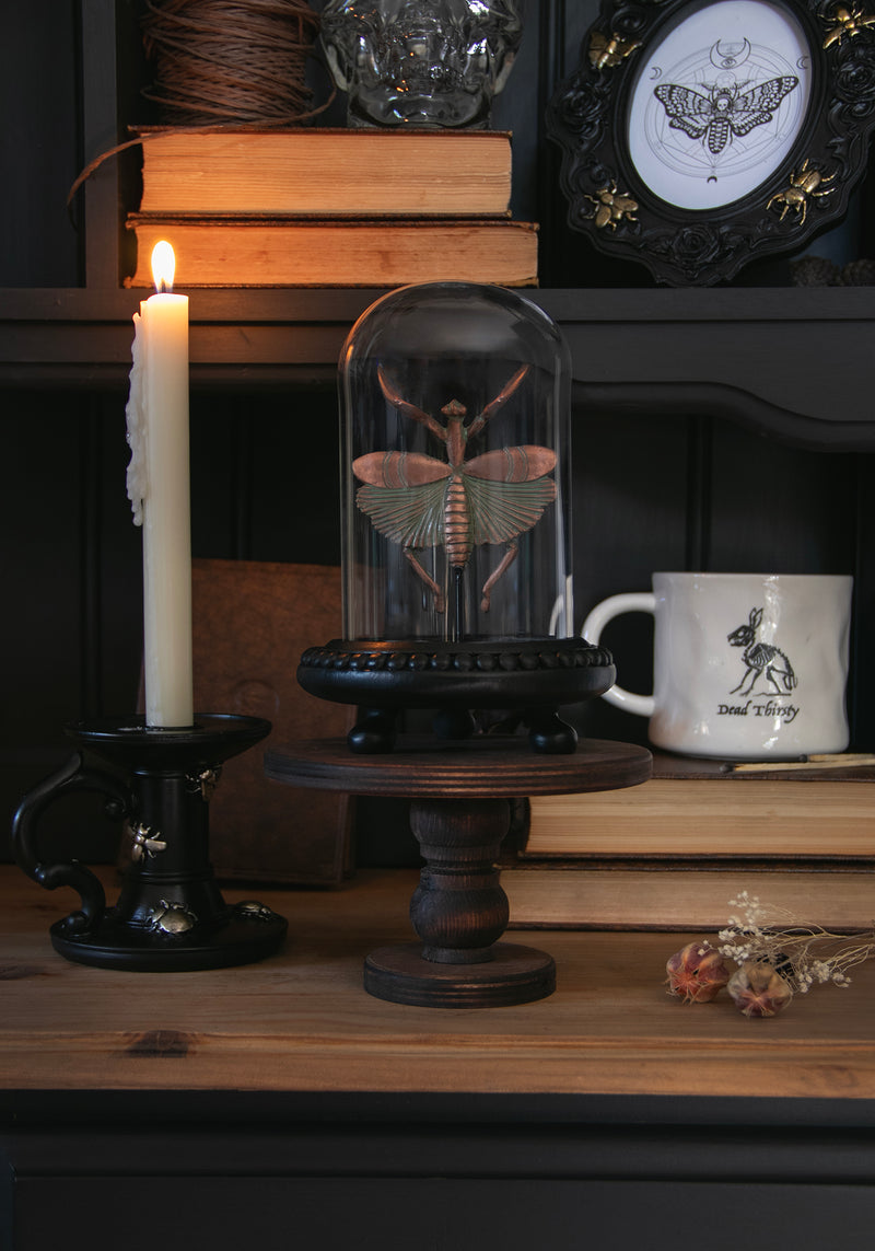 Nerissa Bug In Jar - Bronze & Green