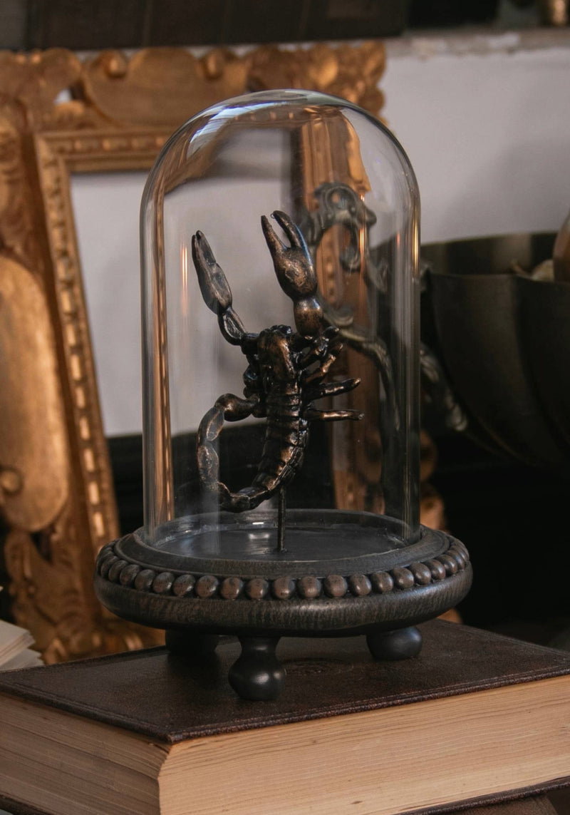 Skara Scorpion in Jar