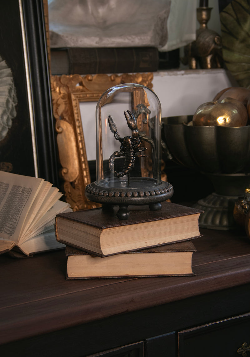 Skara Scorpion in Jar