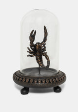 Skara Scorpion in Jar