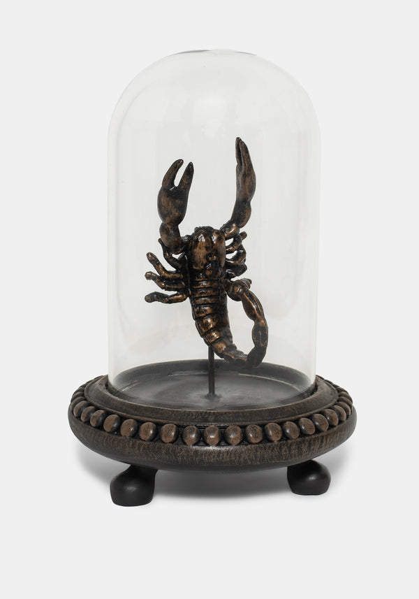Skara Scorpion in Jar