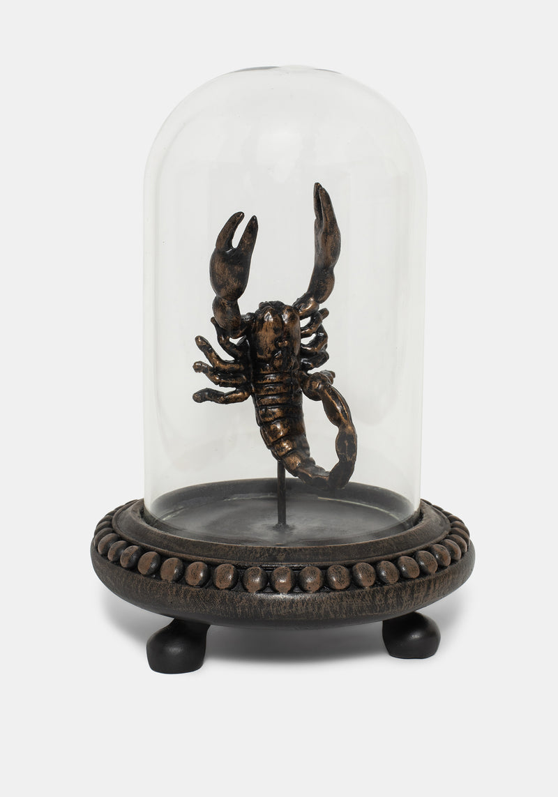 Skara Scorpion in Jar