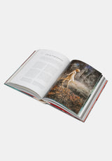 Witchcraft: The Library of Esoterica  - Taschen