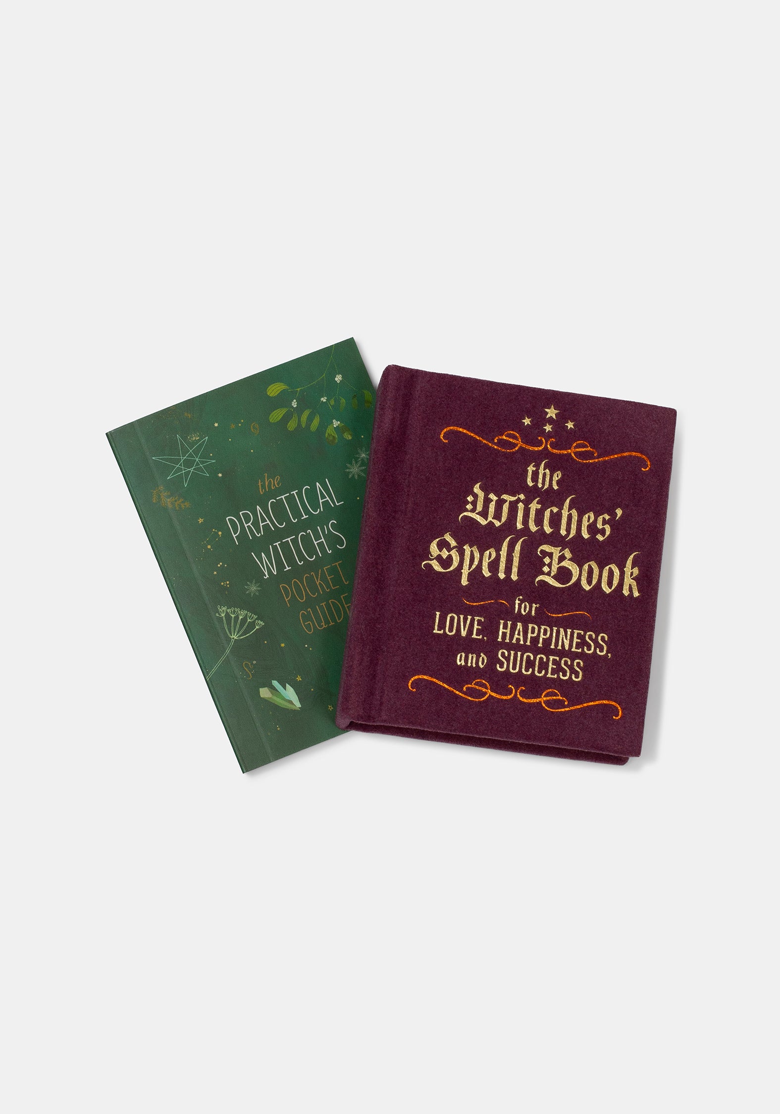 The Witches' Spell Book: Love, Happiness, and Success - Cerridwen Greenleaf