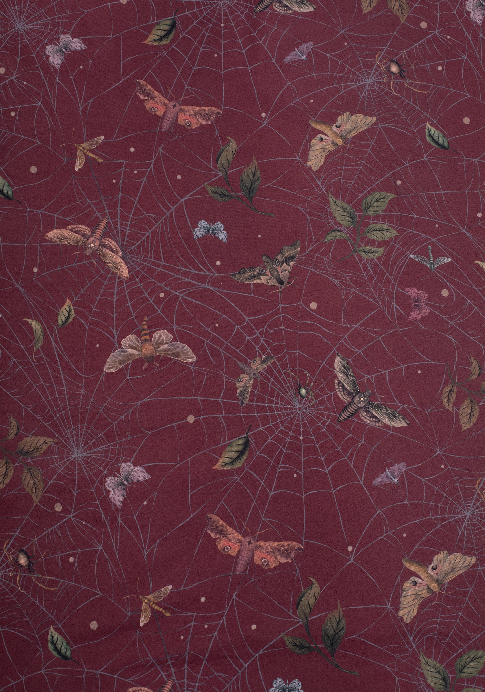 Celia Moth Web Bedding (UK King)