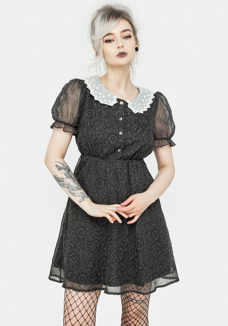 Phantasma Lace Collar Mini Dress