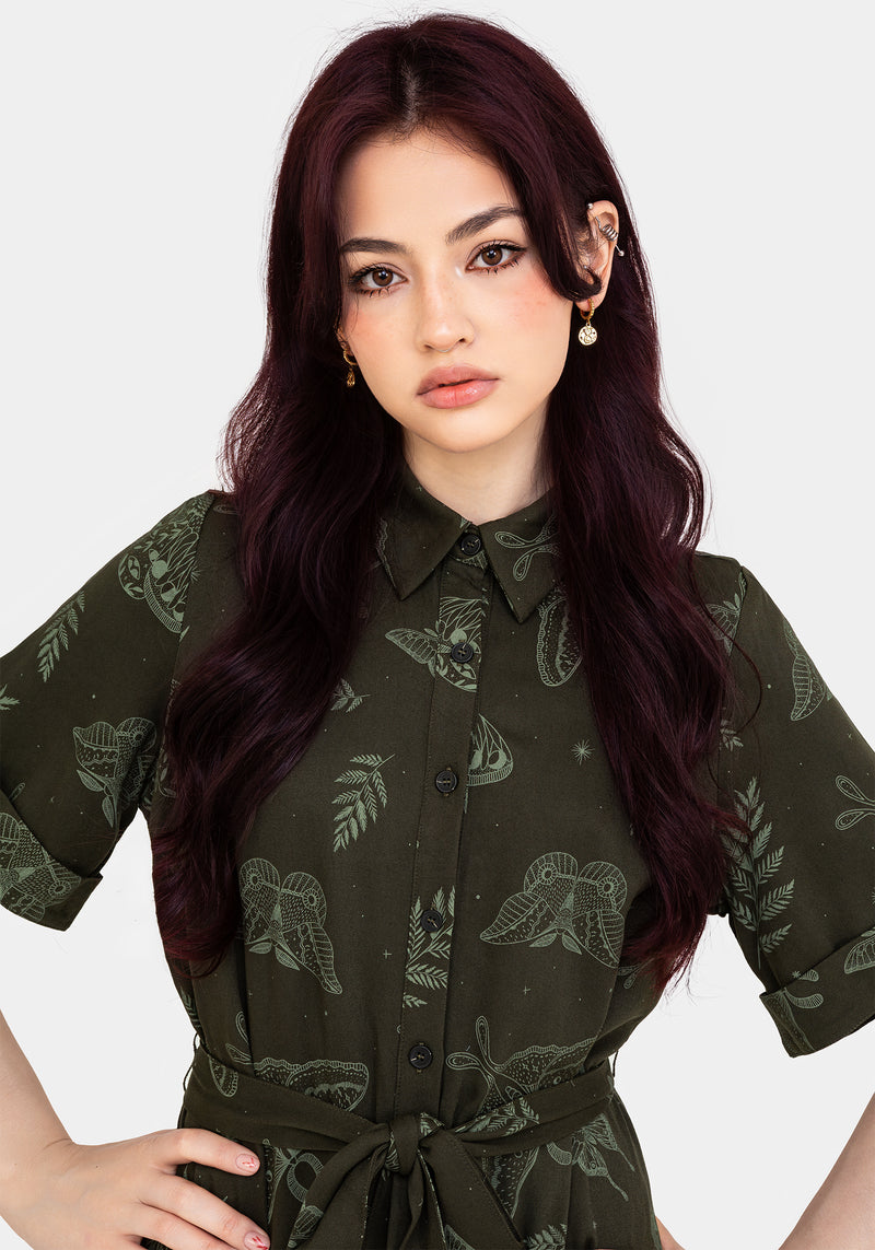 Callopistria Moth Print Mini Shirt Dress - Green