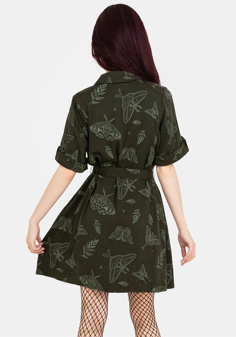 Callopistria Moth Print Mini Shirt Dress - Green