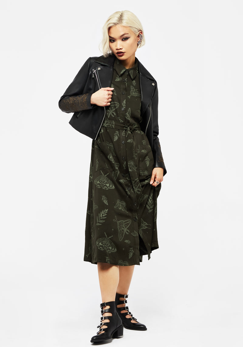 Callopistria Moth Print Midi Shirt Dress - Green