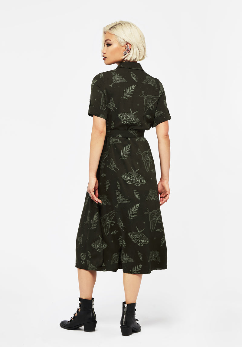 Callopistria Moth Print Midi Shirt Dress - Green