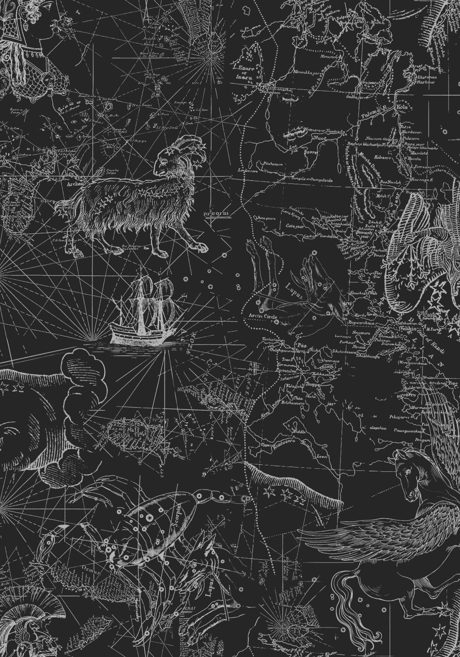 Kosmara Map Print Slash Neck T-Shirt
