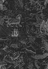 Kosmara Map Print Slash Neck T-Shirt