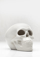 SKULL INCENSE BURNER