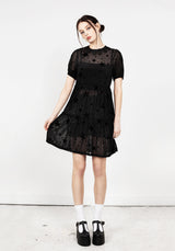 ORION SHEER DRESS