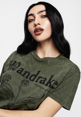 Mandrake Short Sleeve T-shirt - Green